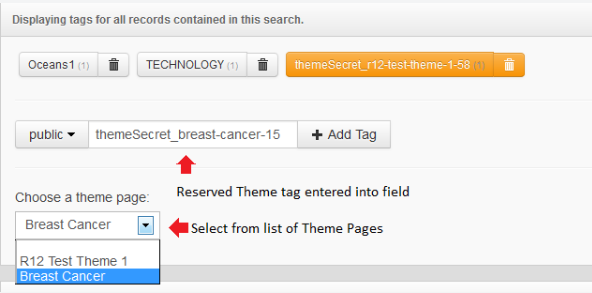 add records to theme page.png